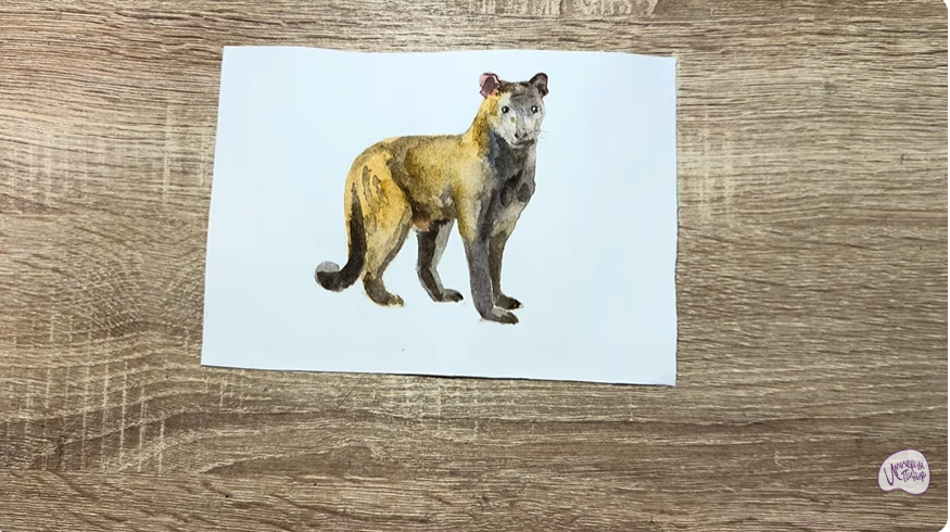 Рисуем Фосса