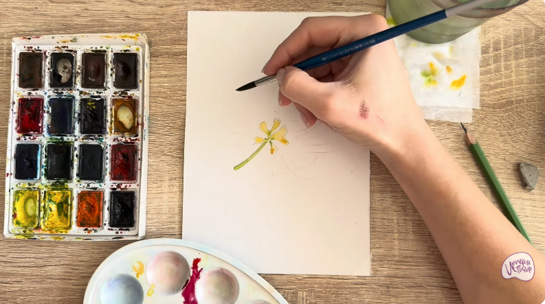 Рисуем Альбиция