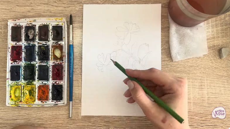 Рисуем Розовая смолёвка