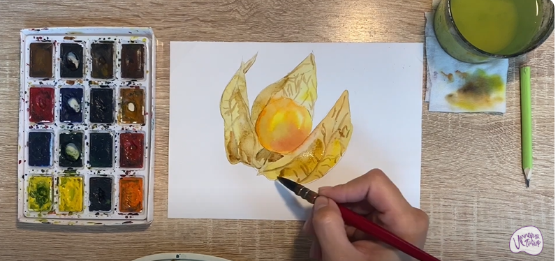 Рисуем Физалис