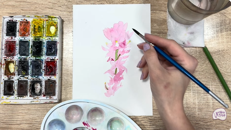 Рисуем Мирикария лисохвостая