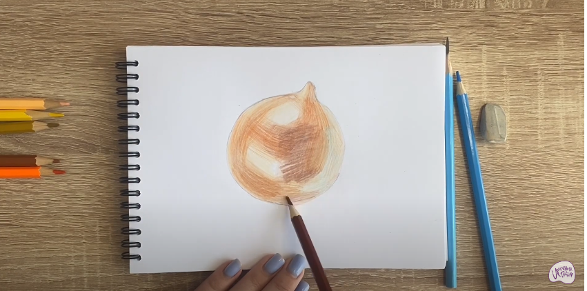 Рисуем Луковица