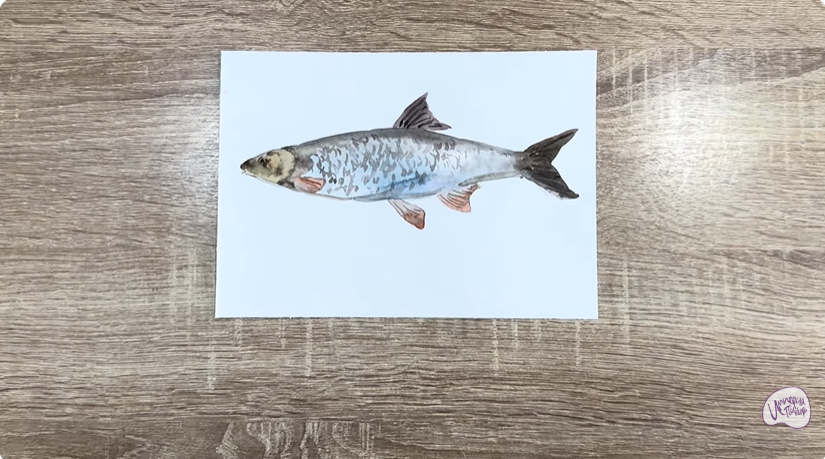 Рисуем Подуст