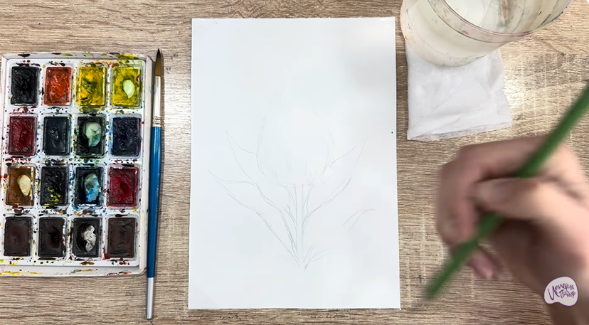 Рисуем Целозия