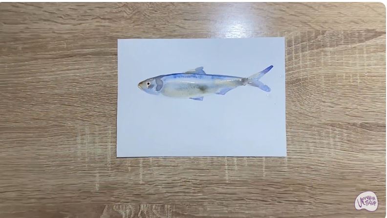 Рисуем Салака