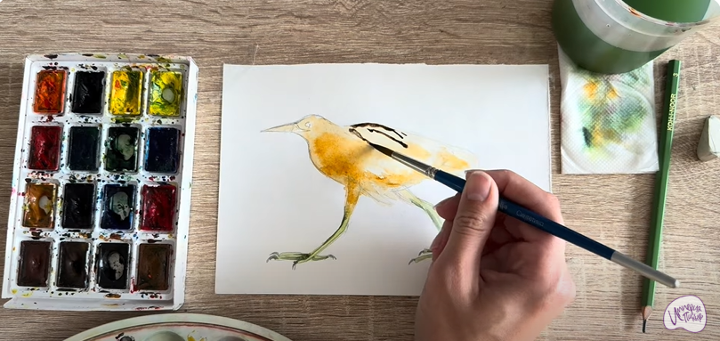Рисуем Выпь Рисуем Выпь
