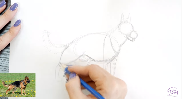Рисуем Немецкая овчарка