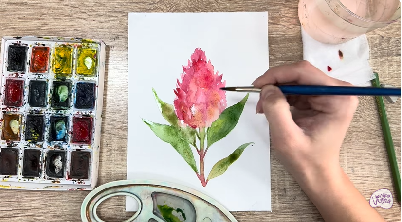 Рисуем Целозия