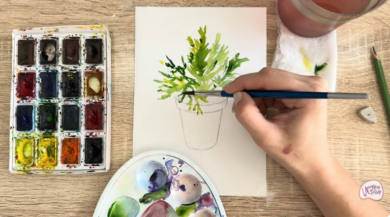 Рисуем Криптомерия японская