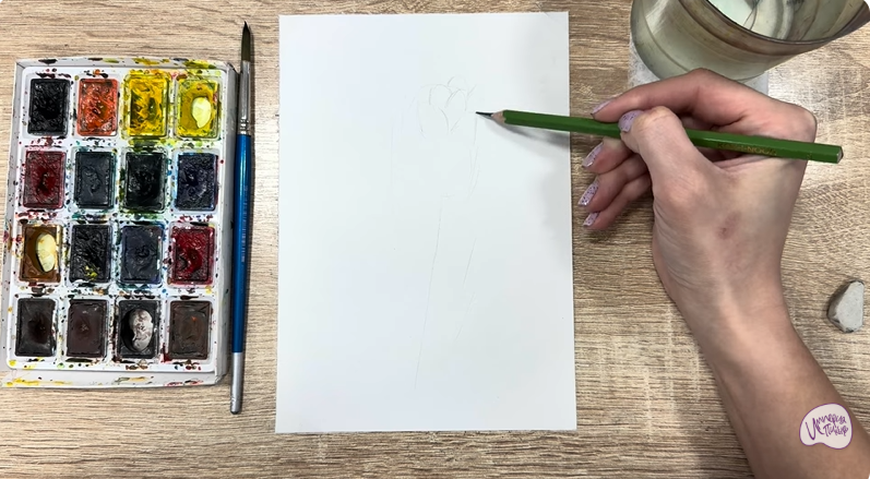 Рисуем Мирикария лисохвостая