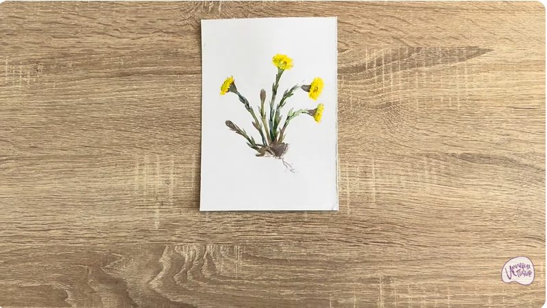 Рисуем Мать-и-мачеха