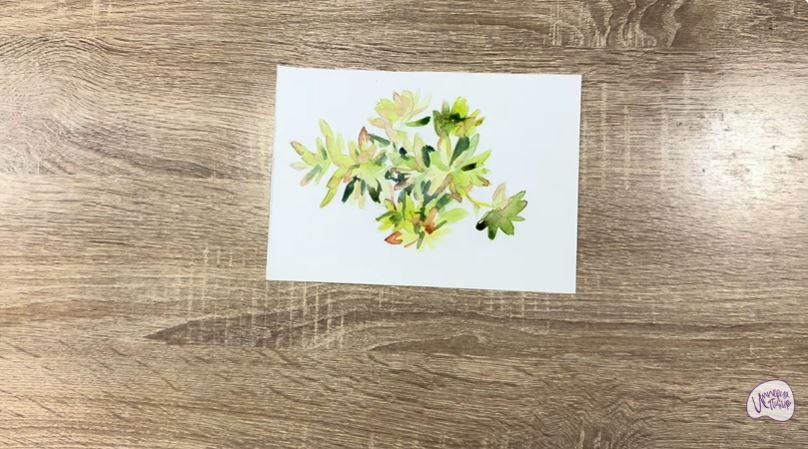 Рисуем Очиток Рисуем Очиток