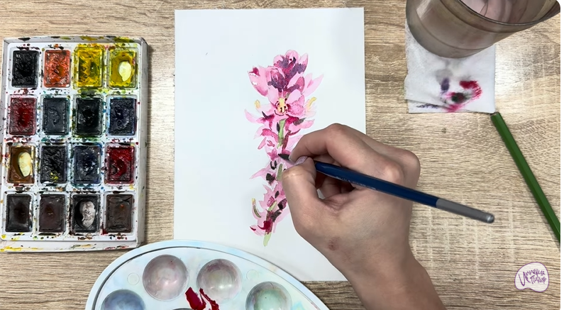 Рисуем Мирикария лисохвостая