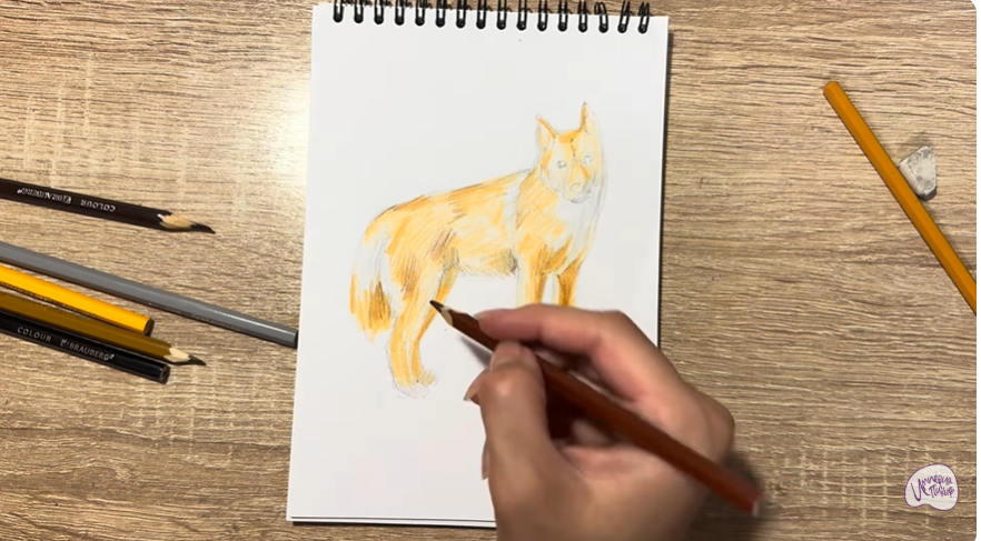 Рисуем Динго