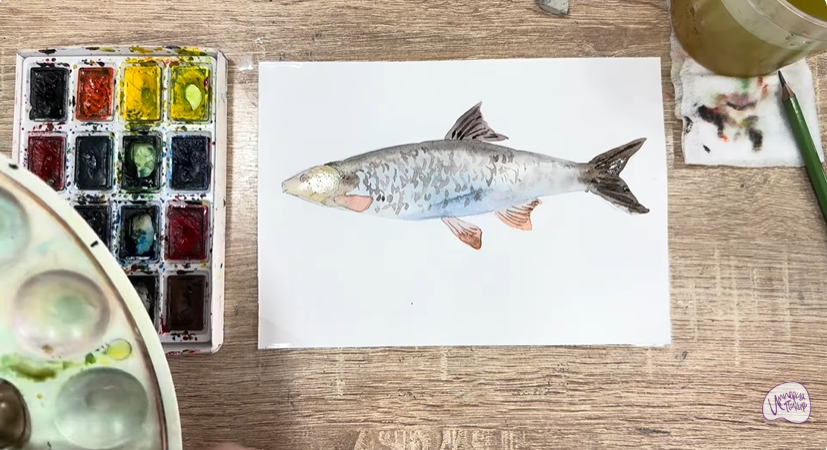 Рисуем Подуст