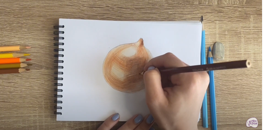 Рисуем Луковица