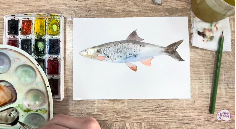 Рисуем Подуст