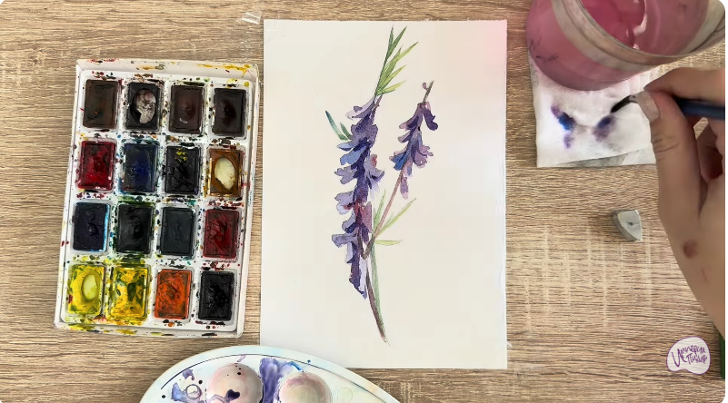 Рисуем Мышиный горошек