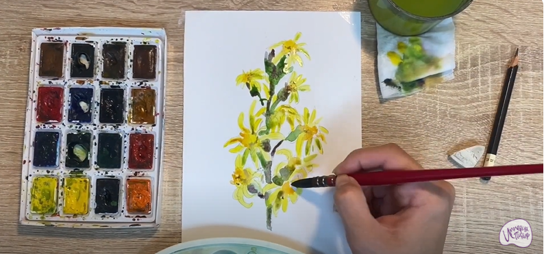 Рисуем Бузульник сибирский