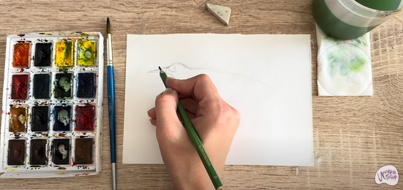 Рисуем Выпь Рисуем Выпь