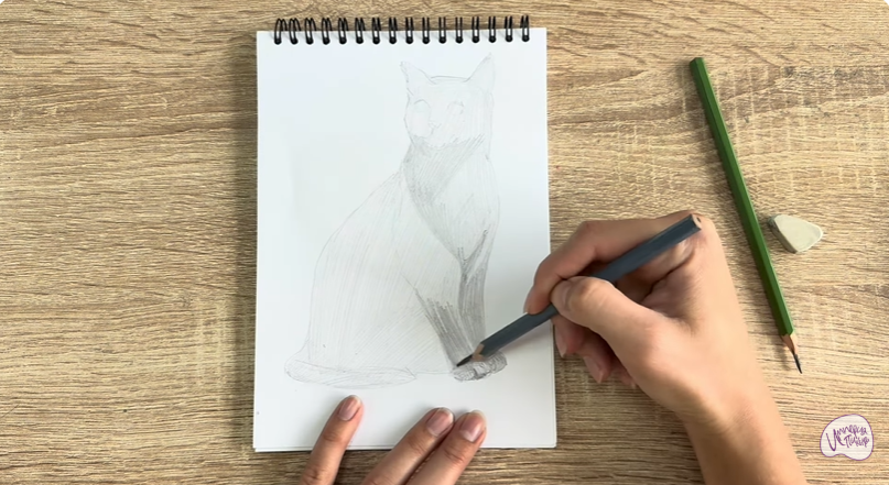 Рисуем Бурманский кот Рисуем Бурманский кот