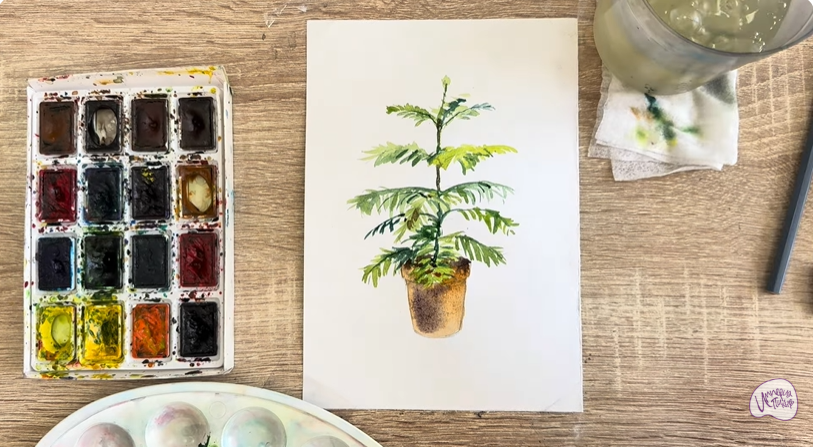 Рисуем Араукария в горшке