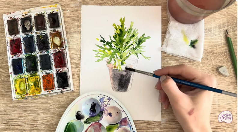 Рисуем Криптомерия японская