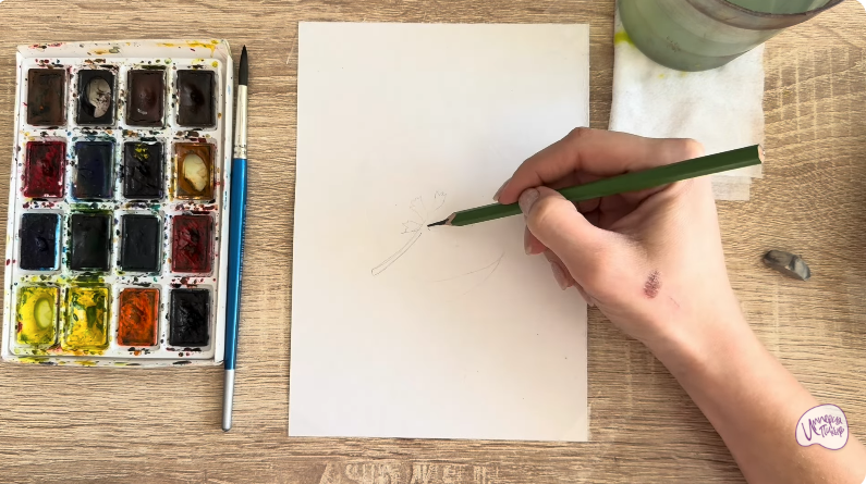 Рисуем Альбиция