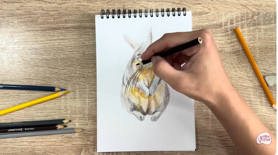 Рисуем Горная вискаша