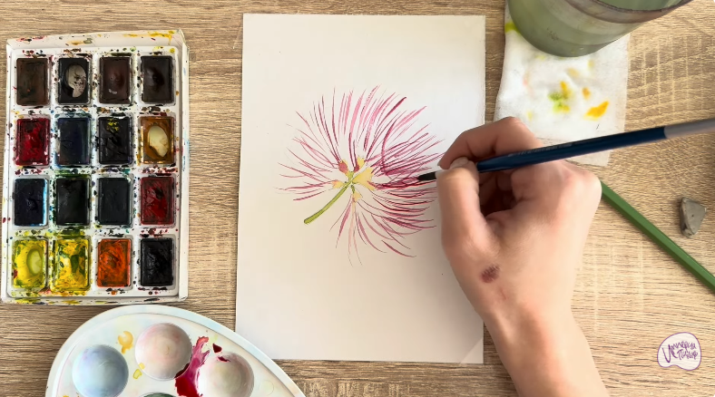 Рисуем Альбиция