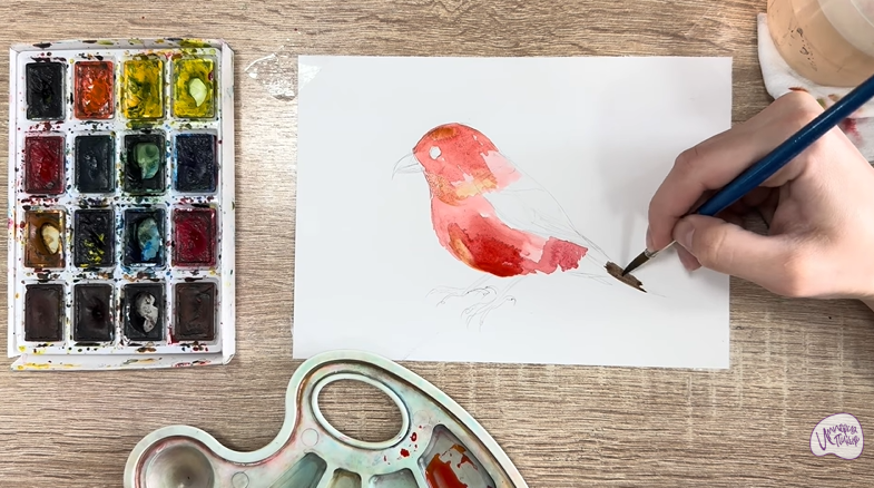 Рисуем Клест - еловик