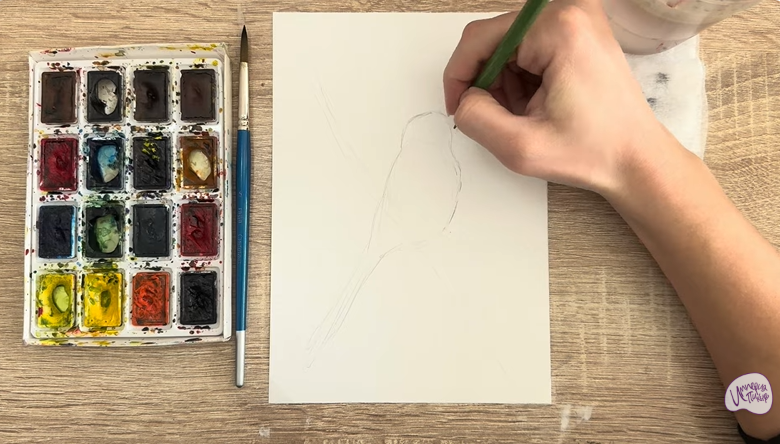 Рисуем Длиннохвостая синица