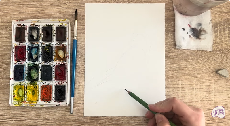 Рисуем Обыкновенная чечётка