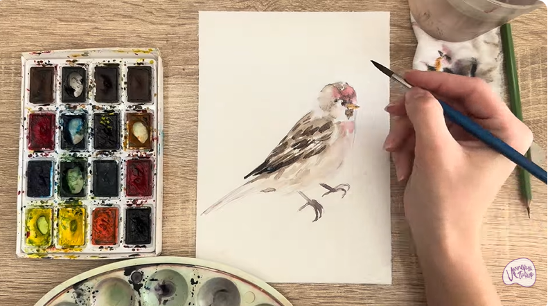 Рисуем Обыкновенная чечётка