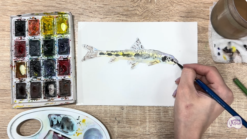 Рисуем Ленский пескарь