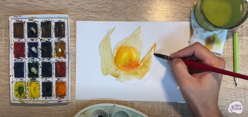 Рисуем Физалис