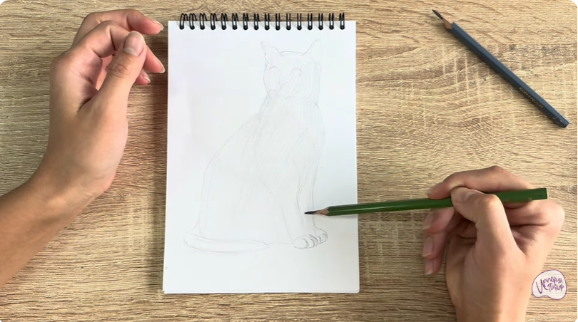 Рисуем Бурманский кот Рисуем Бурманский кот