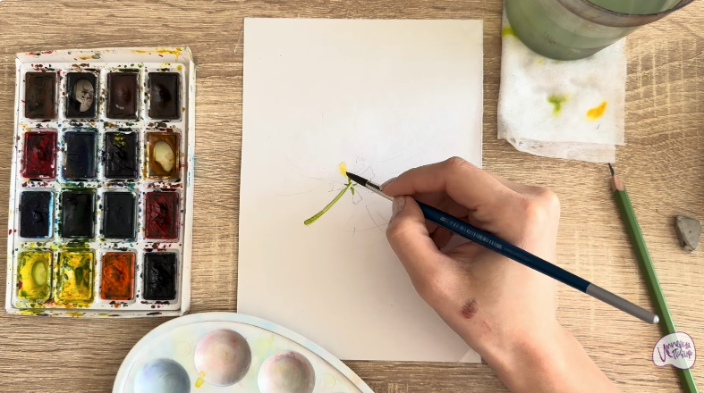 Рисуем Альбиция