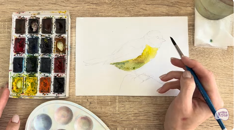 Рисуем Обыкновенная лазоревка