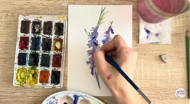 Рисуем Мышиный горошек