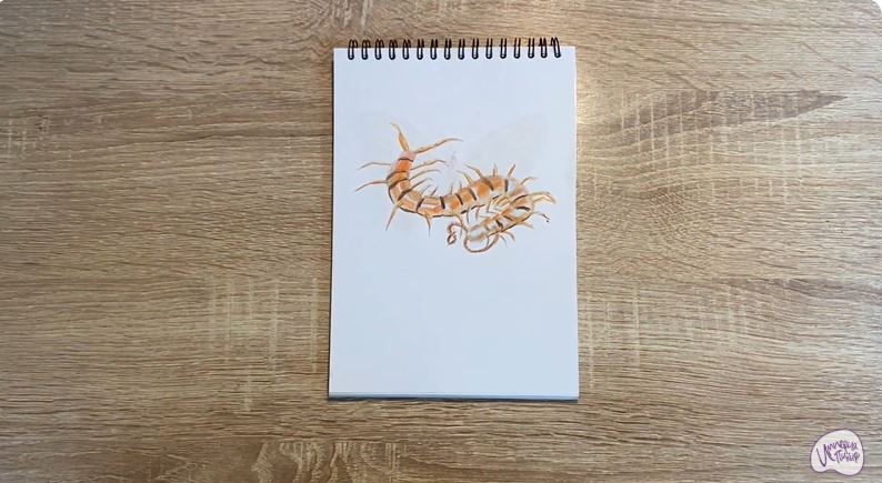 Рисуем Сороконожка