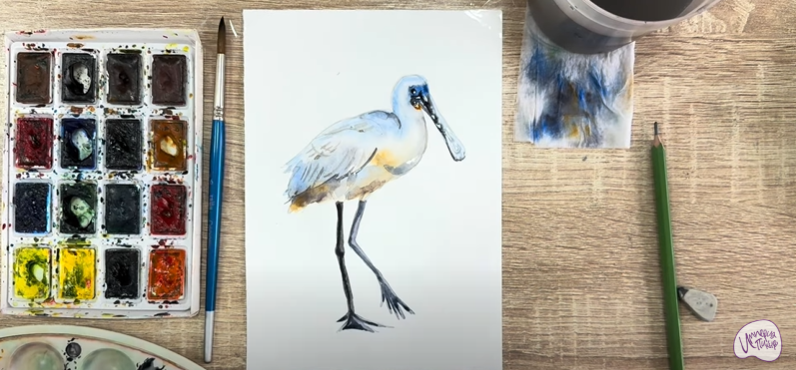 Рисуем Колпица Рисуем Колпица
