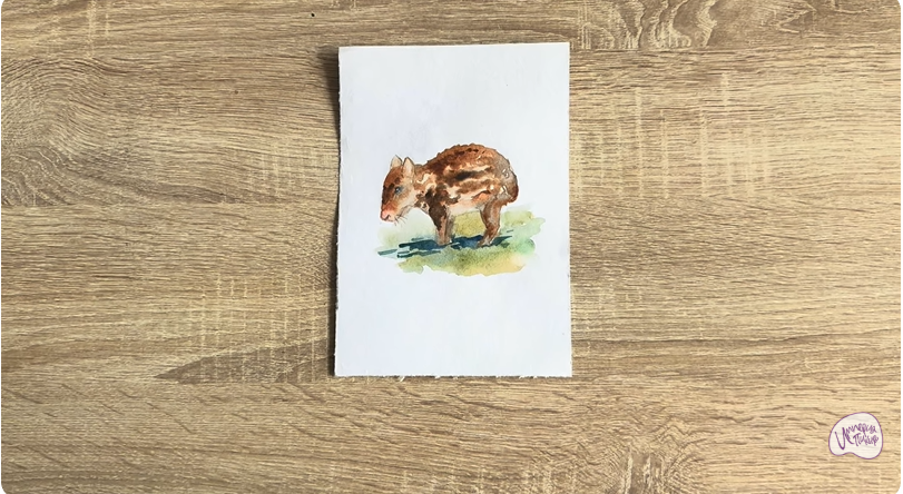 Рисуем Пака
