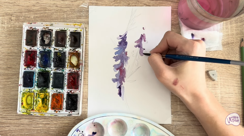 Рисуем Мышиный горошек