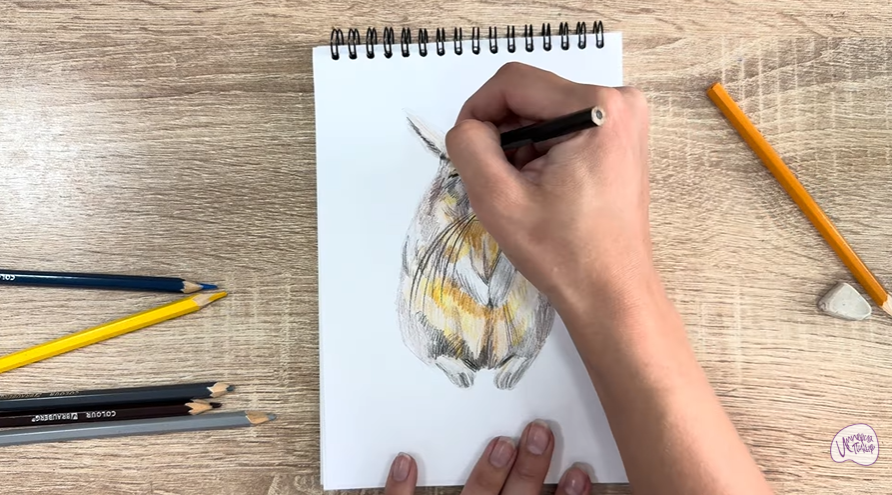 Рисуем Горная вискаша