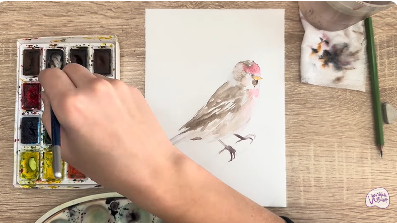 Рисуем Обыкновенная чечётка