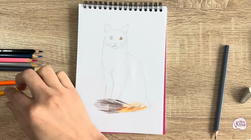 Рисуем Кот породы "Турецкий ван"