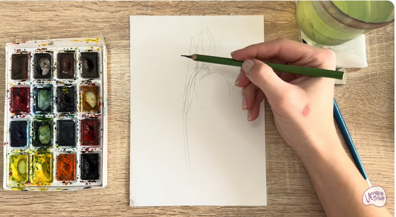 Рисуем Желтый рябчик