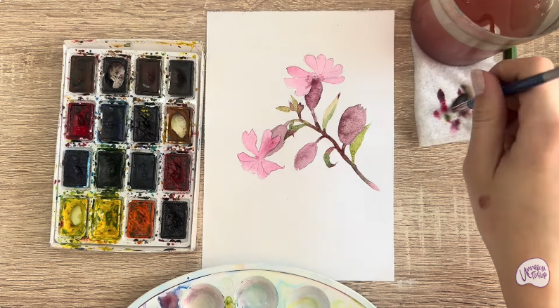 Рисуем Розовая смолёвка