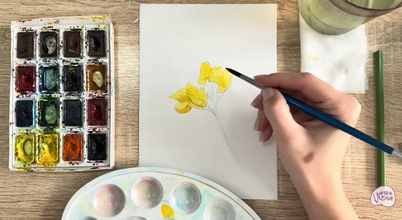 Рисуем Чина луговая